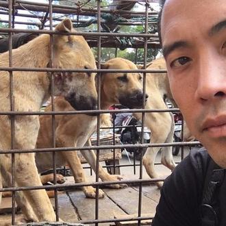 Una organización logra rescatar 1000 canes del infierno de Yulin …