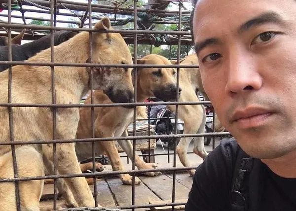 Una organización logra rescatar 1000 canes del infierno de Yulin, el festival de la carne de perro