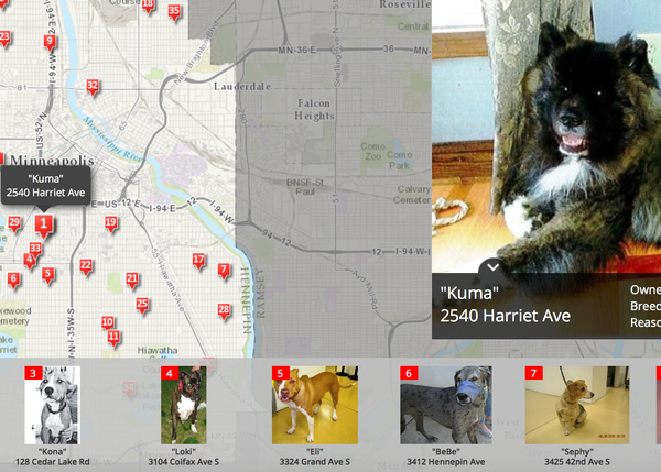 Minneapolis publica un mapa interactivo de perros peligrosos