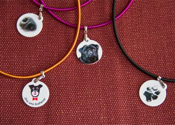 Llegan los collares SrPerro ¡para humanos!