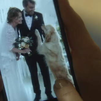 Cuando un perro abandona a su familia humana, no es …