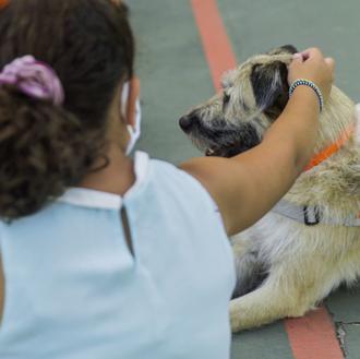 La terapia con perros de Fundación Affinity ayuda a niños …
