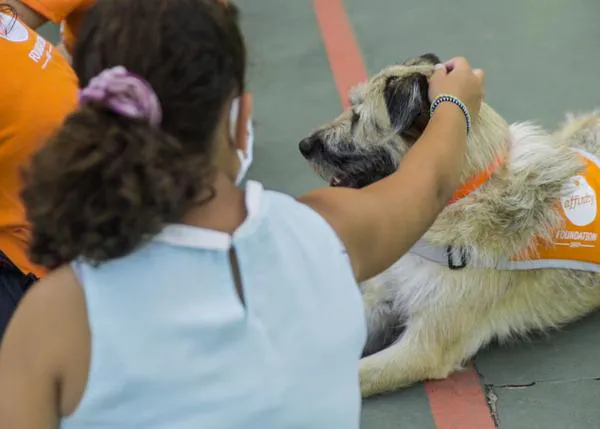 La terapia con perros de Fundación Affinity ayuda a niños tutelados a superar los efectos negativos del confinamiento