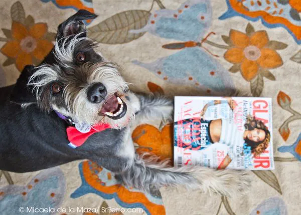 SrPerro versión Celebrity, ¡en las páginas de Glamour!