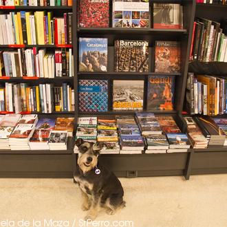 Olé por Casa del Libro: todas sus tiendas son perrunas