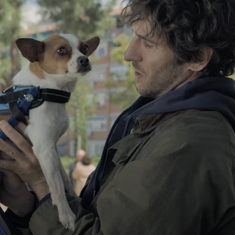 Ratoni, la superheroína canina que se transforma en Perruedines en …