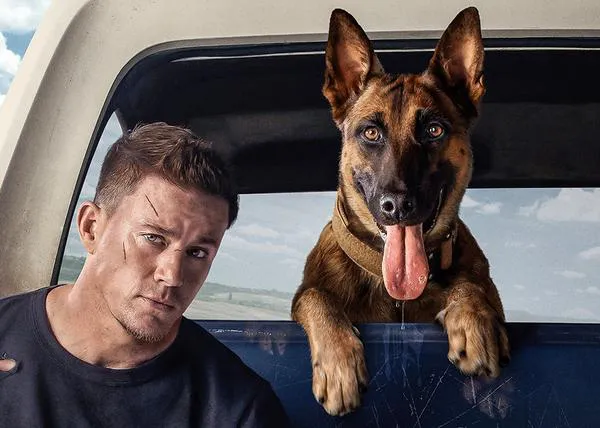 Channing Tatum y los perros: 9 meses de preparación con 3 Pastor Belga Malinois para su peli, 