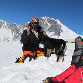 La increíble (pero cierta) historia de Baru, la perra callejera …