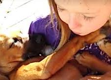 La nana de una niña a su cachorro adoptado -tan adorable como desafinada- logra más de 3400$ para una protectora