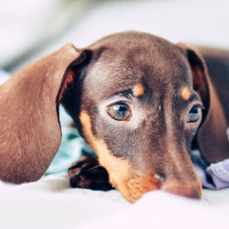 Barcelona multa con 250.000 € a Milanuncios por no retirar …