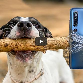 Cuando tu humano forma parte de un equipo de fotógrafos …