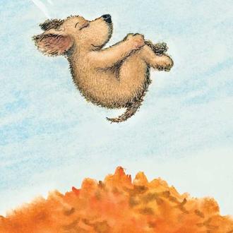 El otoño llega extra perruno y extra feliz a The …