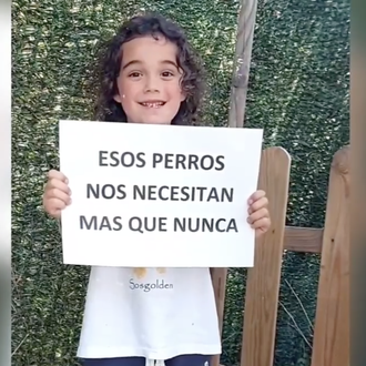 Alex, de 5 años y voluntario de SOS Golden, nos …
