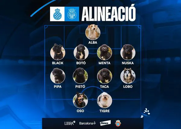 La visibilidad del RCD Espanyol (en el campo y en las redes) a perros en adopción surte efecto: ocho peludos han encontrado hogar