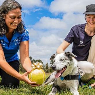 Bear, el perro que ayudó a salvar a más de …