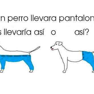 El último dilema friki y viral de internet: ¿cómo llevaría …