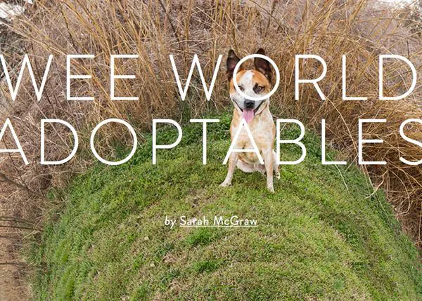Pequeños mundos con (mucho) arte para fomentar la adopción: las fotos de Sarah McGraw