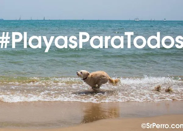 Concentraciones en Gijón, Coruña, Rota, Las Palmas, Cádiz y Barcelona para exigir #PlayasParaTodos
