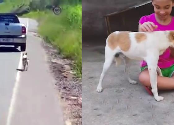 ¿Quieres saber cómo se siente un perro cuando es abandonado en medio de la carretera? Mira este vídeo