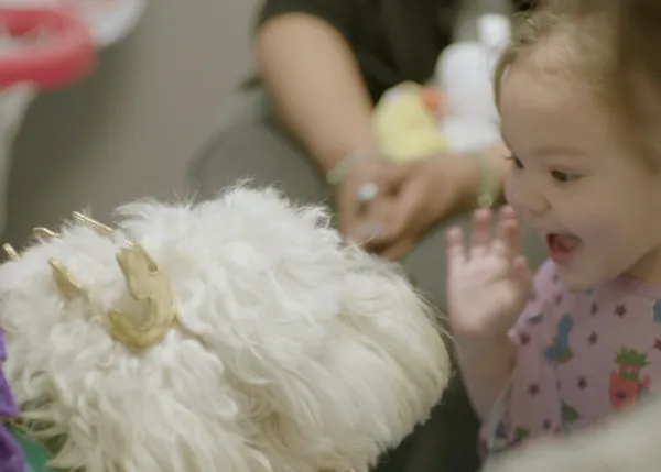 Sonrisas impagables: el efecto de los perros de terapia en un hospital infantil