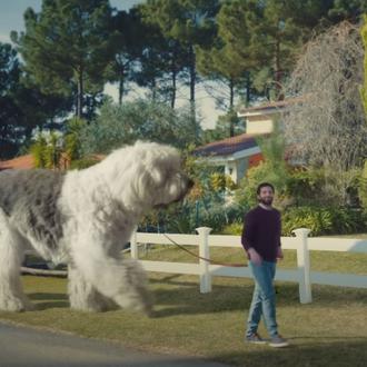 El perro de una tonelada: un divertido anuncio con un …