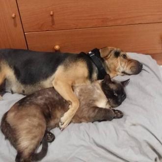 Graba y denuncia a la mujer que se ha jactado …