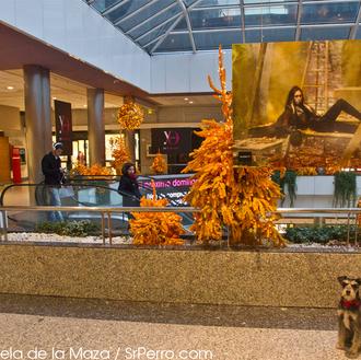 Moda Shopping: ocio y arte, cultura y belleza... en compañía …