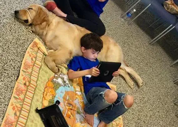 El momento en que un niño con autismo conecta con su perro de asistencia por primera vez