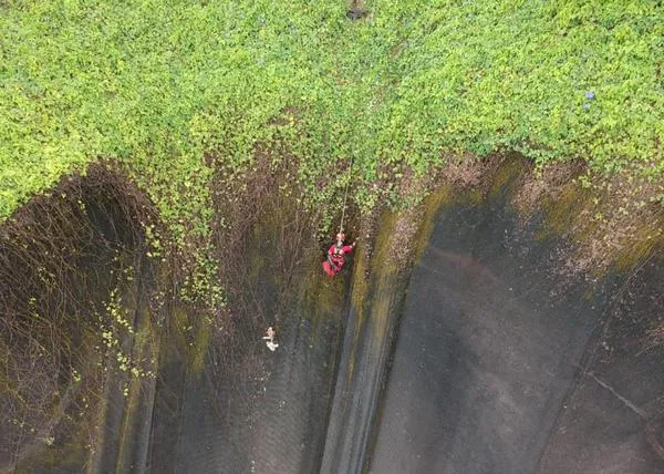 Espectacular y emocionante rescate de un Beagle que había caído por un acantilado  
