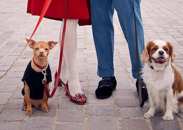Una historia de amor navideño para fashionistas protagonizada por el simpar Tuna Melts My Heart