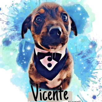La adopción fallida de un cachorrote se hace viral convirtiéndose …