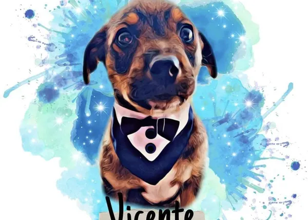 La adopción fallida de un cachorrote se hace viral convirtiéndose en un alegato a favor de la adopción responsable