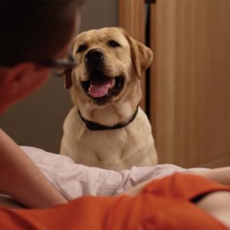 ¿Nos está mirando tu perro? Una clásica escena de pareja …