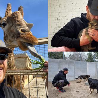 700 gatos, perros y alguna jirafa a salvo de la …