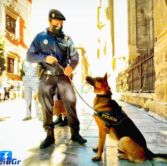 La azarosa y finalmente feliz historia del 