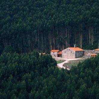 12 Hoteles que admiten canes de cualquier tamaño y sin …