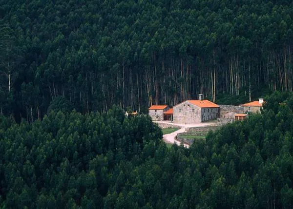 12 Hoteles que admiten canes de cualquier tamaño y sin suplemento, primera selección SrPerro para el verano