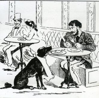 Los bohemios caninos y el SrPerro original: las historias de …