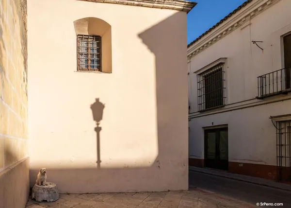 Sanlúcar con perro: planes foodie, planes culturales y paseos bonitos ¡Yes we CAN!