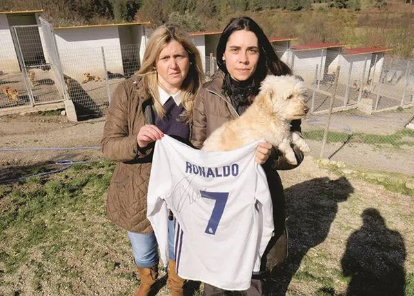 Cristiano Ronaldo dona una camiseta firmada para ayudar a un refugio de perros en Portugal
