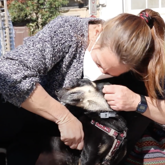 El emotivo y feliz reencuentro entre una humana y su …