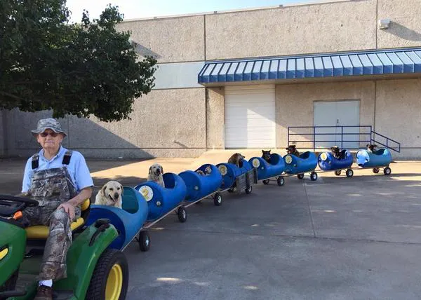 El tren de los perros rescatados: el mejor tren del mundo