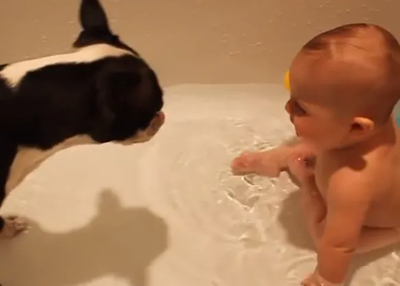 La risa contagiosa y feliz de un bebé que se baña con un perro