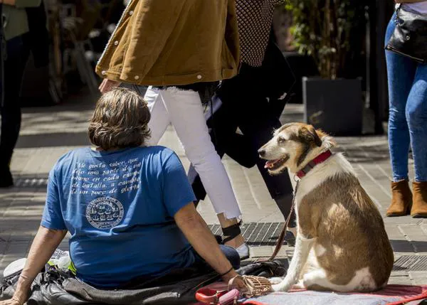 El perro es la principal fuente de apoyo social para un 74% de personas sin hogar