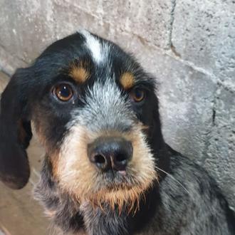 “No mereces ni que gaste un cartucho contigo, eres una …