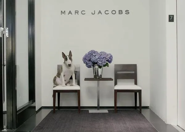 El perro más fashion del mundo también es solidario: Neville Jacobs