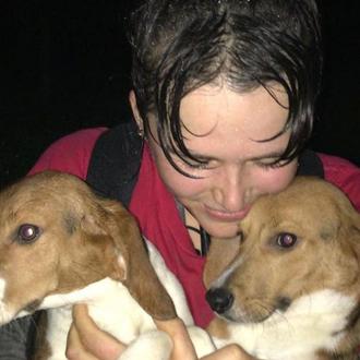 Activistas británicos rescatan a 18 beagles de una granja de …