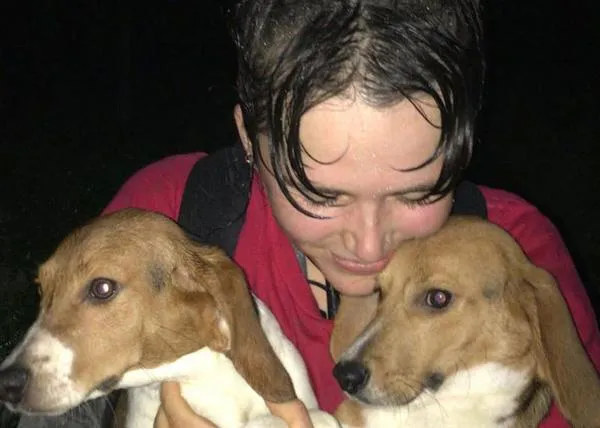 Activistas británicos rescatan a 18 beagles de una granja de cría de perros para experimentación animal