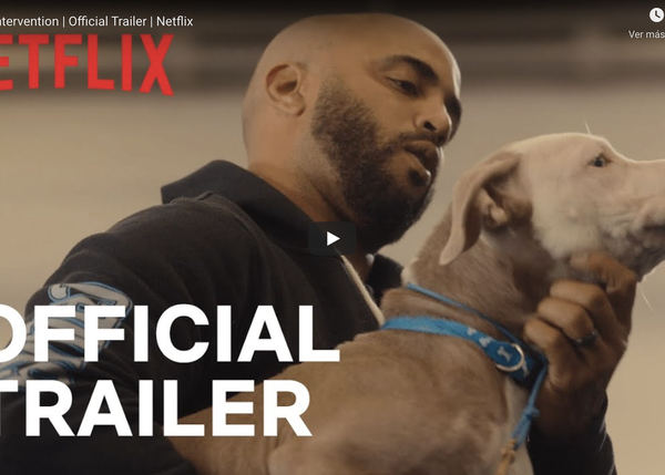 Más de 30.000 personas piden a Netflix que cancele su nuevo programa sobre educación canina, Terapia Canina