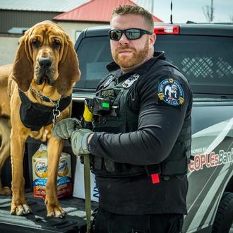 Momentazos felices de Prince, un guapo Sabueso y Perro Policía …